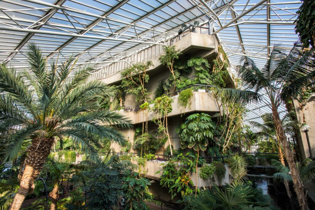 The interior of the Barbican, a space covered in tropical plants and trees.