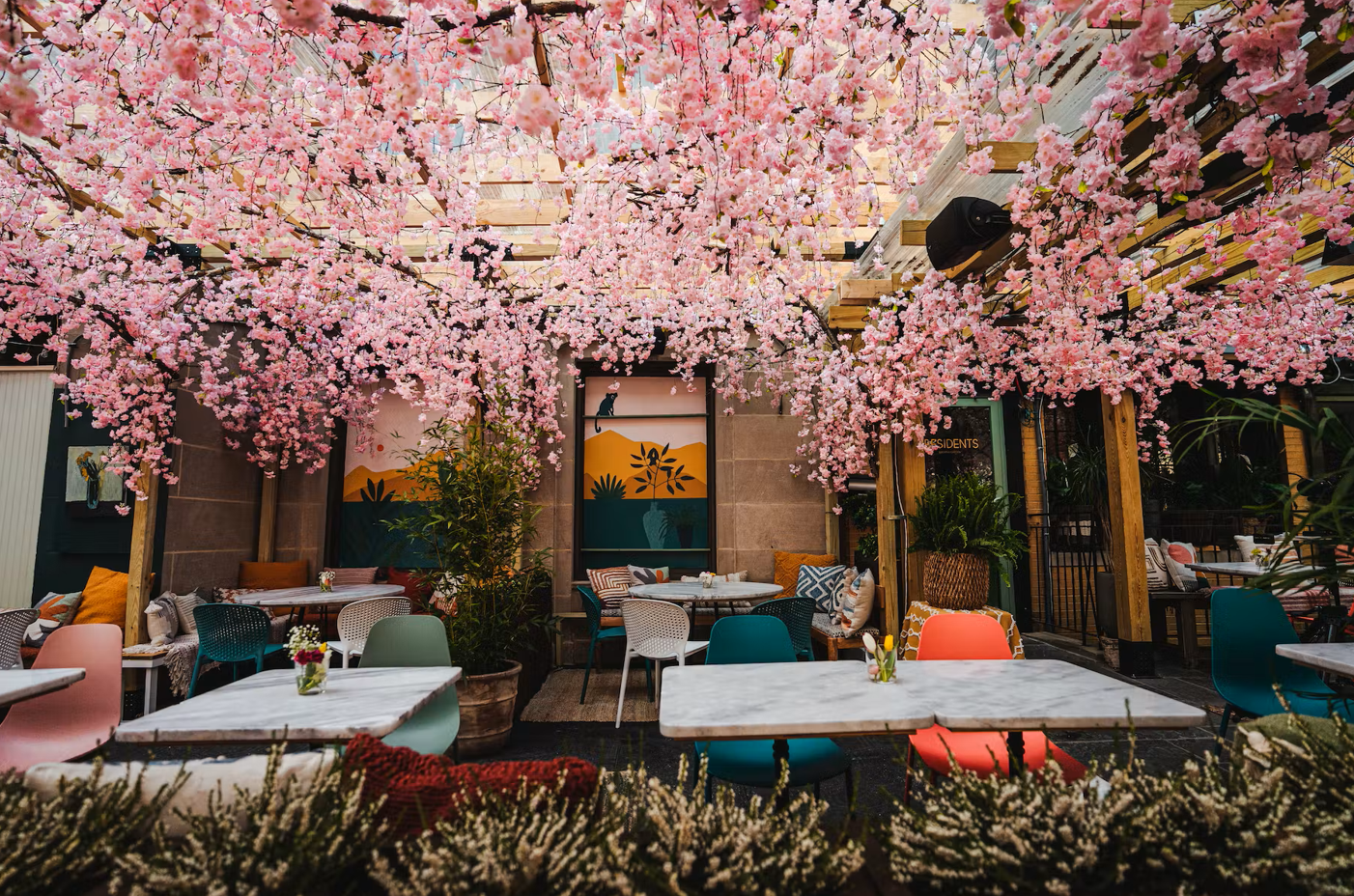 An outdoor bar patio decorated for spring with cherry blossoms, white marble tables and multicolored chairs.