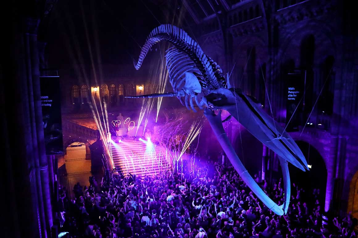 silent disco crowd dances beneath a hanging blue whale skeleton suspended from the ceiling