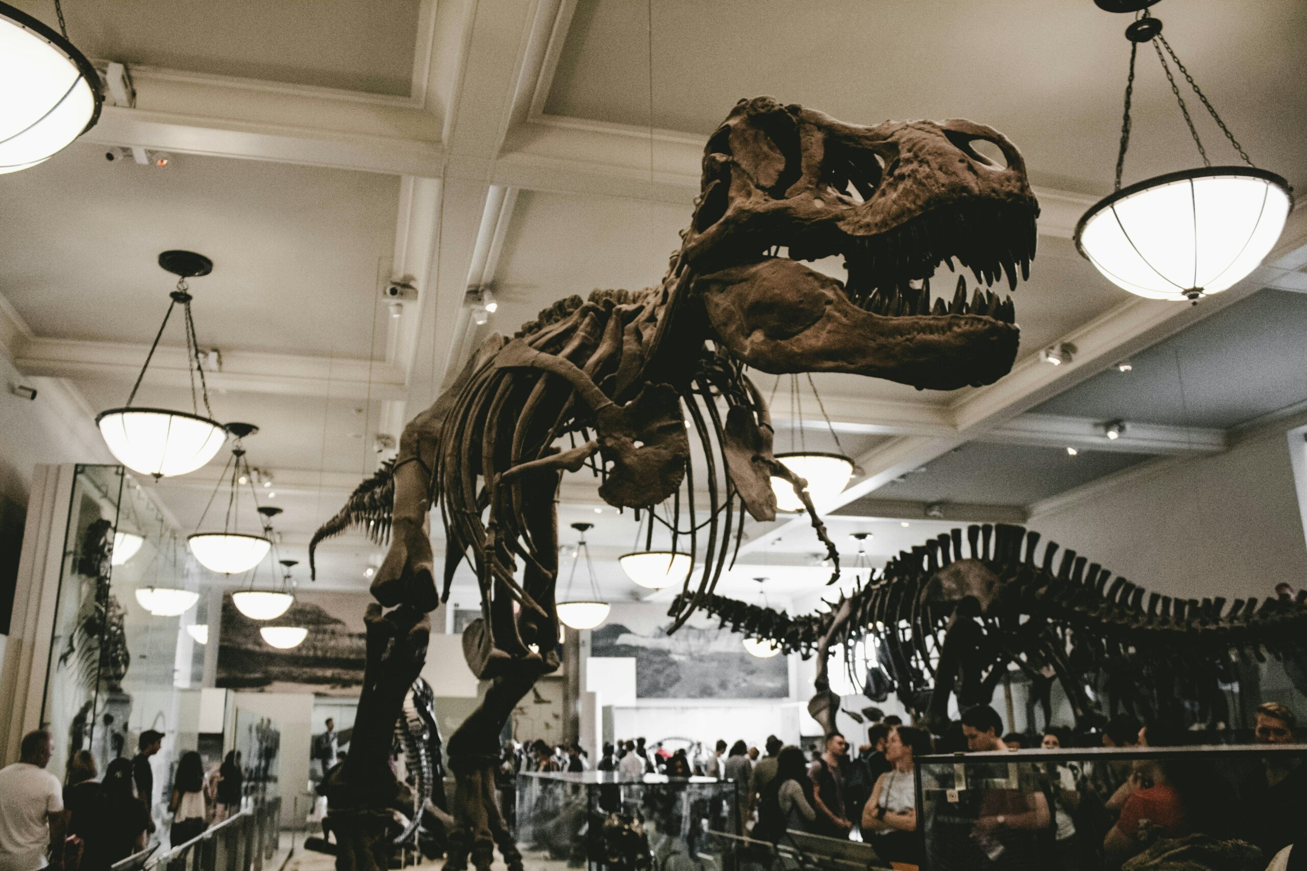 dinosaur natural history museum new york