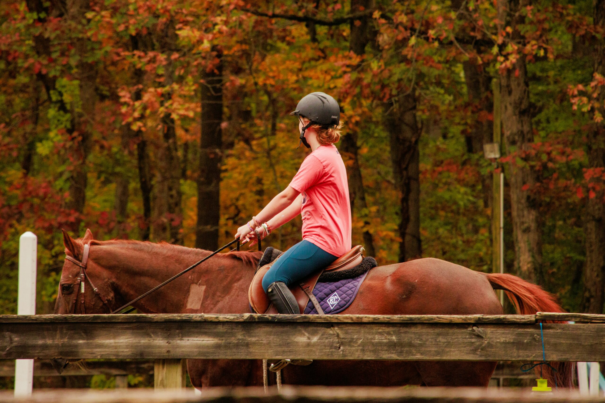 person on a horse in autumn