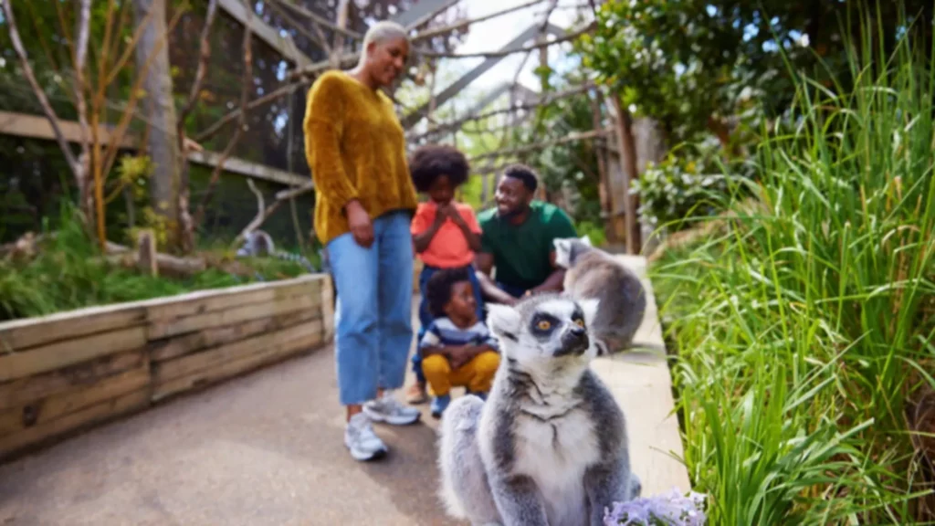 Family at an outdoor Zoo