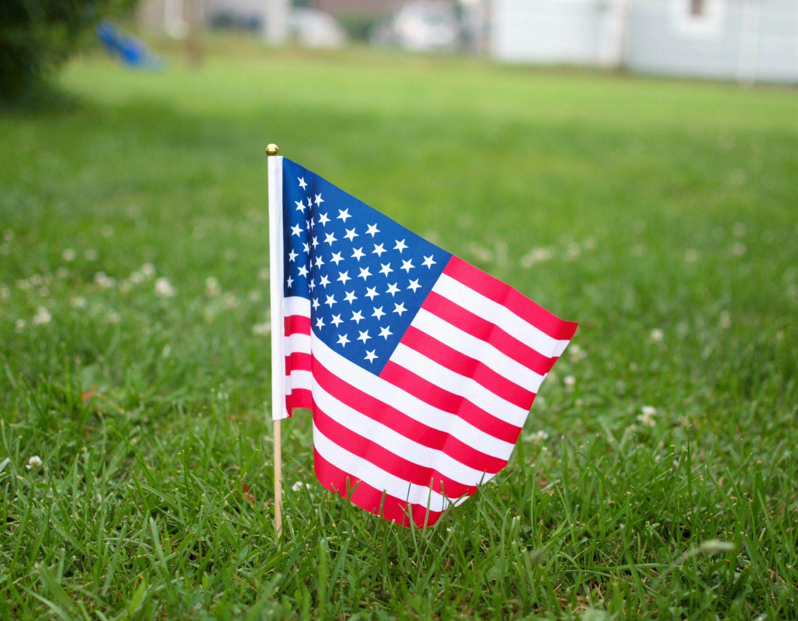 4th july picnic US Flag 